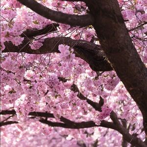 Meet your Posher, Ian